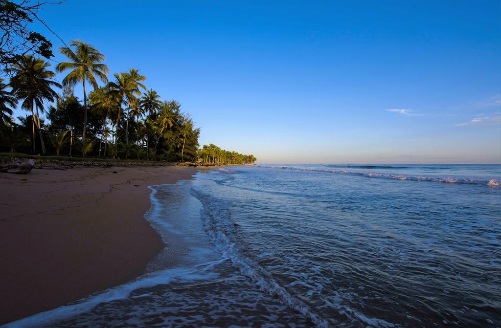 Hotel Costa Las Ballenas Las Terrenas Ngoại thất bức ảnh